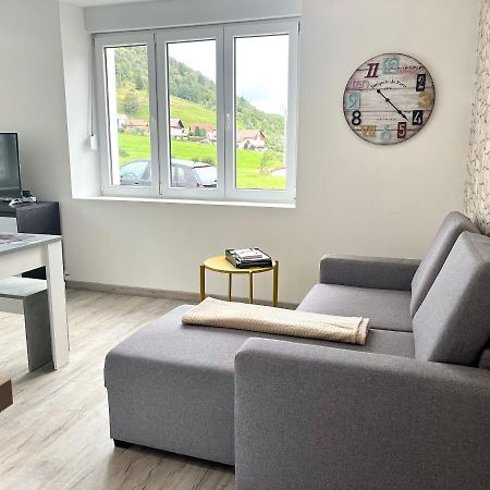 Apartamento Cocon Lumineux Pres Des Pistes La Bresse Exterior foto