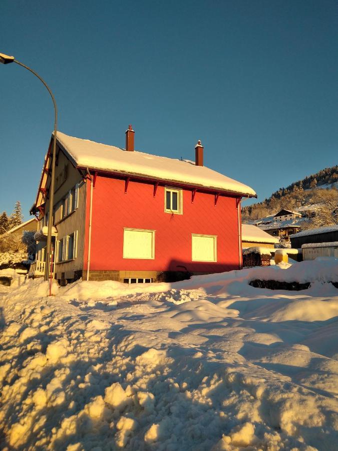 Apartamento Cocon Lumineux Pres Des Pistes La Bresse Exterior foto